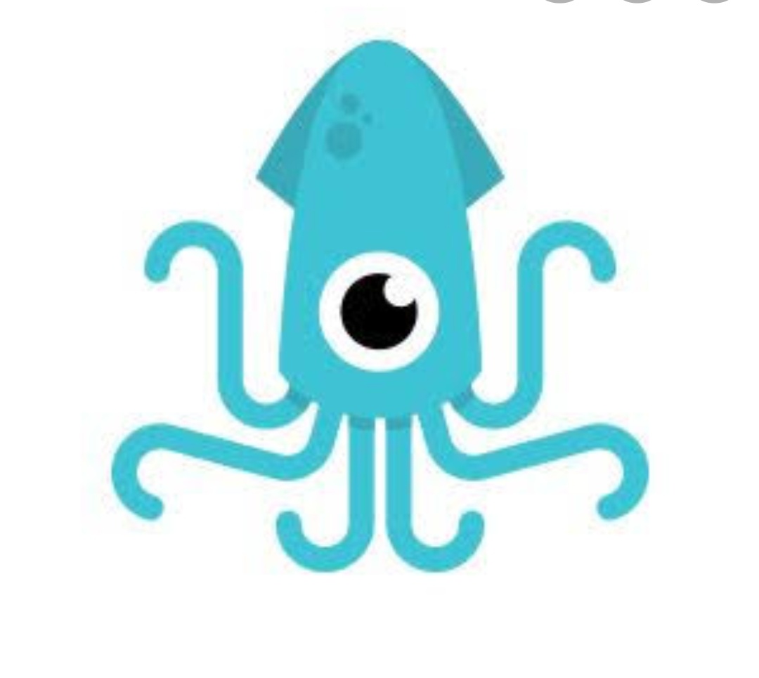 Squid linux. Squid premium. Squid board. Squid 3. Squid url.