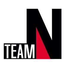 N team. N1 Team. Лм тим участники логотип. N1nja.