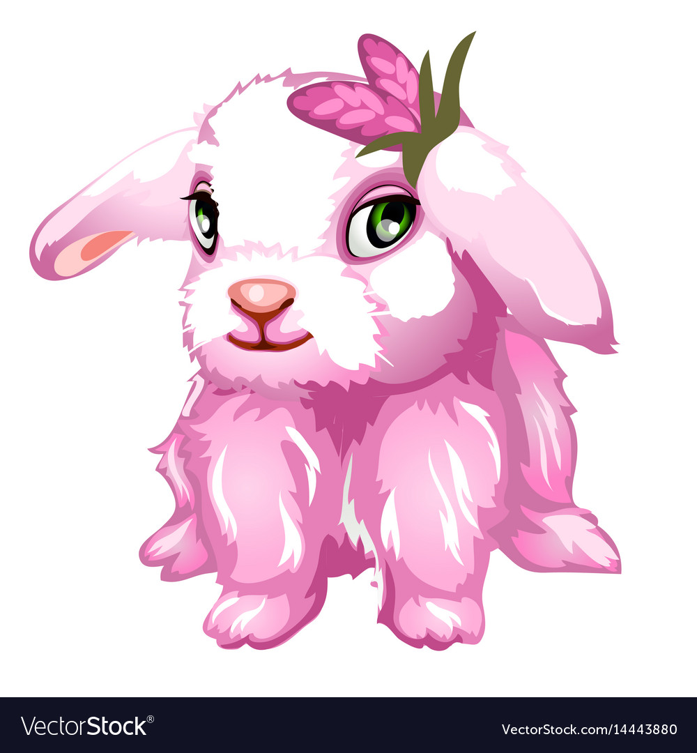 fluffy pink bunny